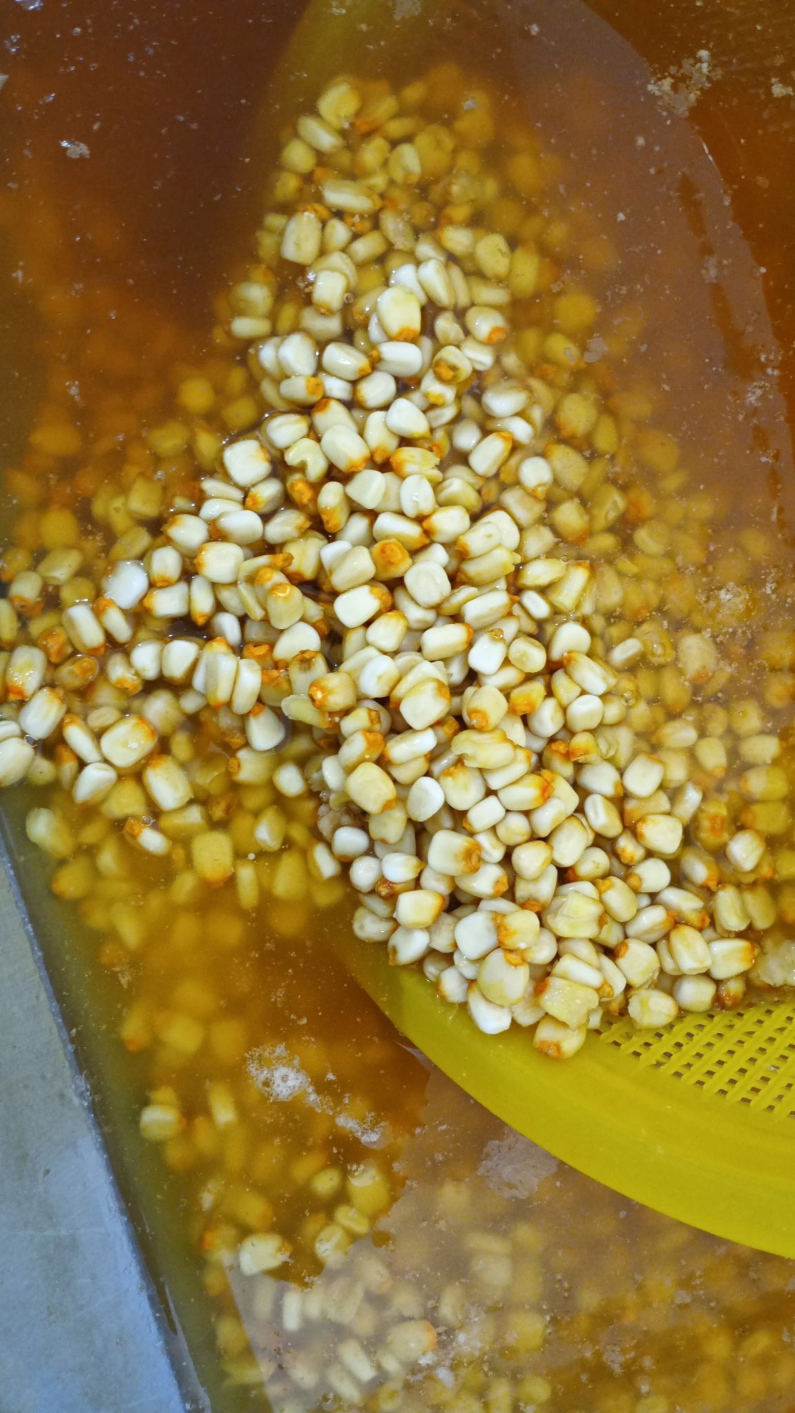 Nixtamal para las tortillas, cociéndose