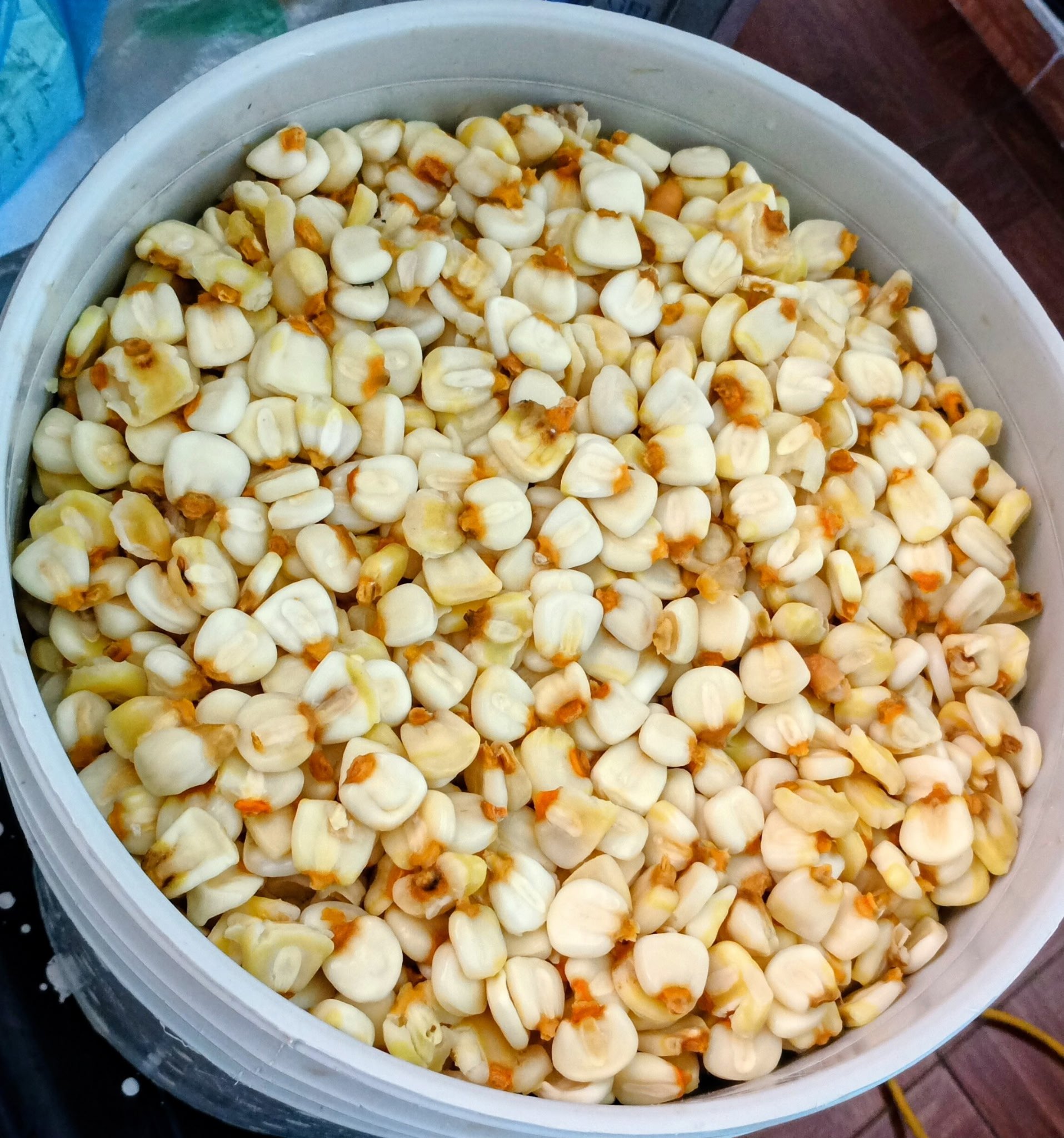 Granos de maíz para el pozole
